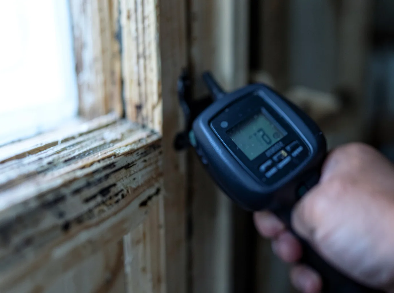 Moisture Inspection And Documentation in Dornsife, PA